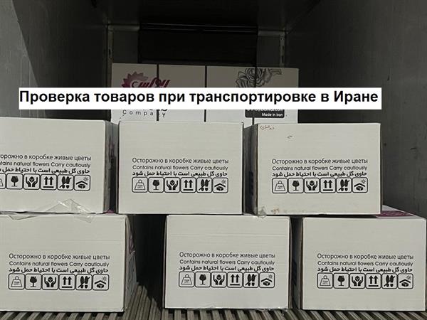 Проверка товаров при транспортировке в Иране