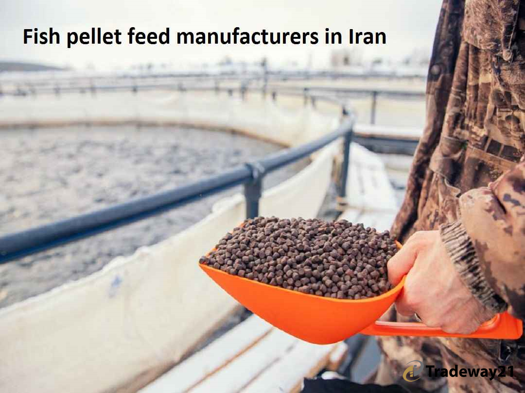 Trout feed pellets from Iran | Fish pellet feed manufacturer