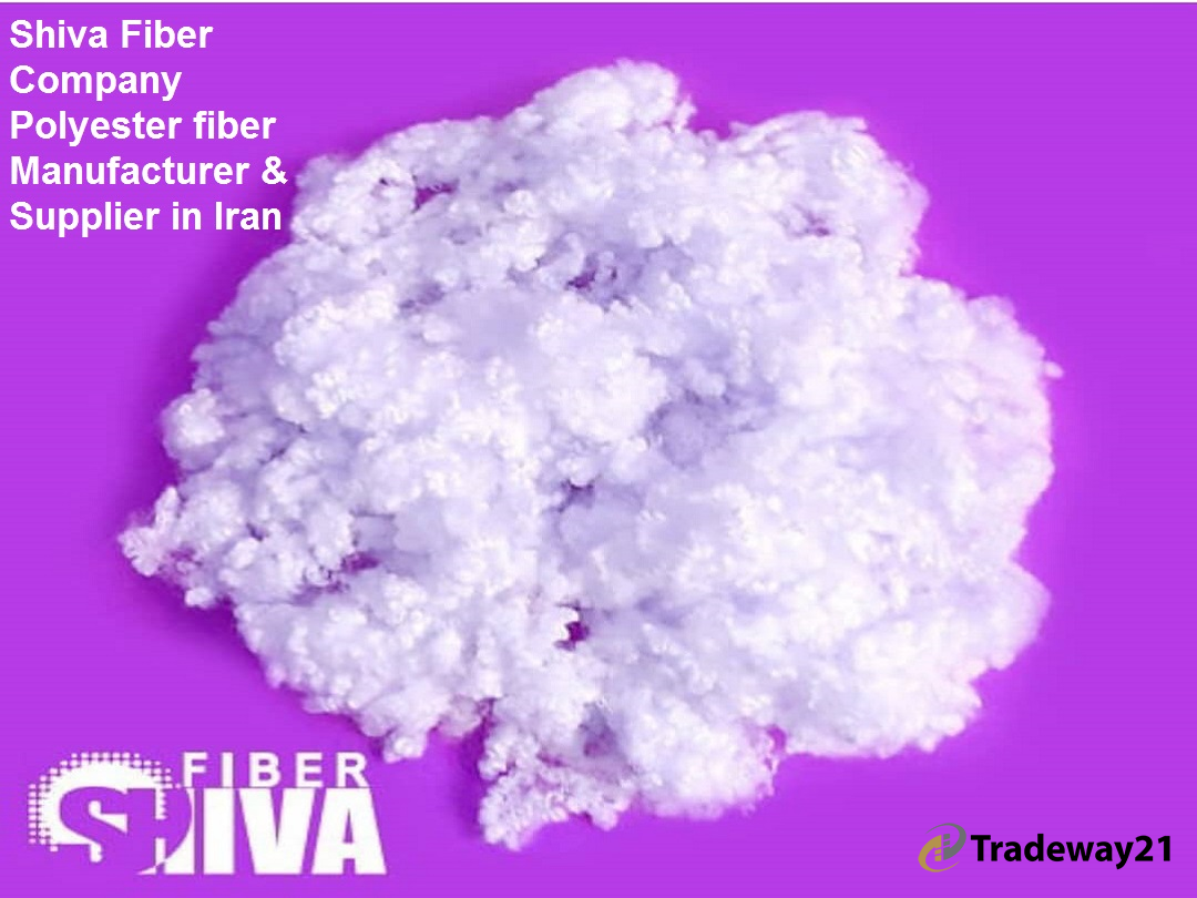 Shiva Fiber Polyester fiber Manufacturer & Supplier in Iran