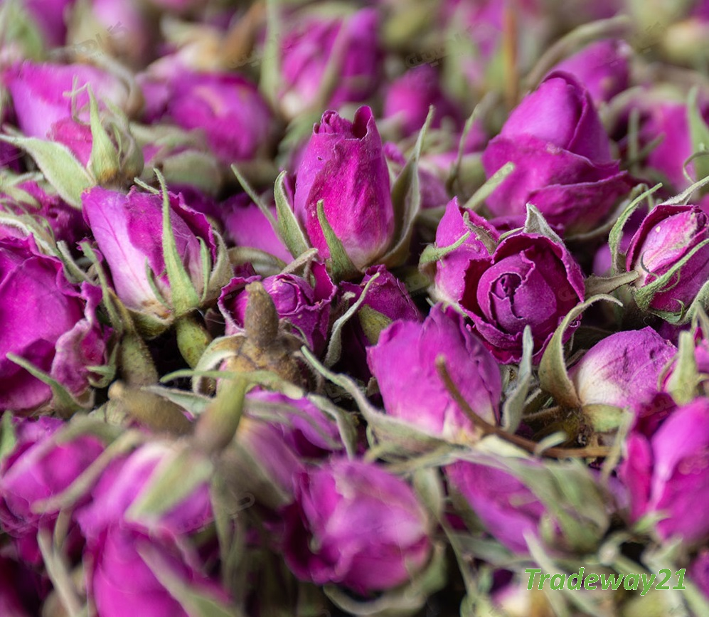 Чайная роза бутоны оптом из Ирана от производителя