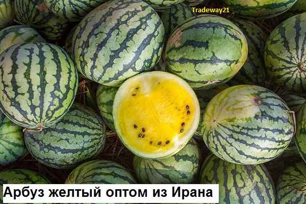 Арбуз желтый оптом из Ирана по низкой цене