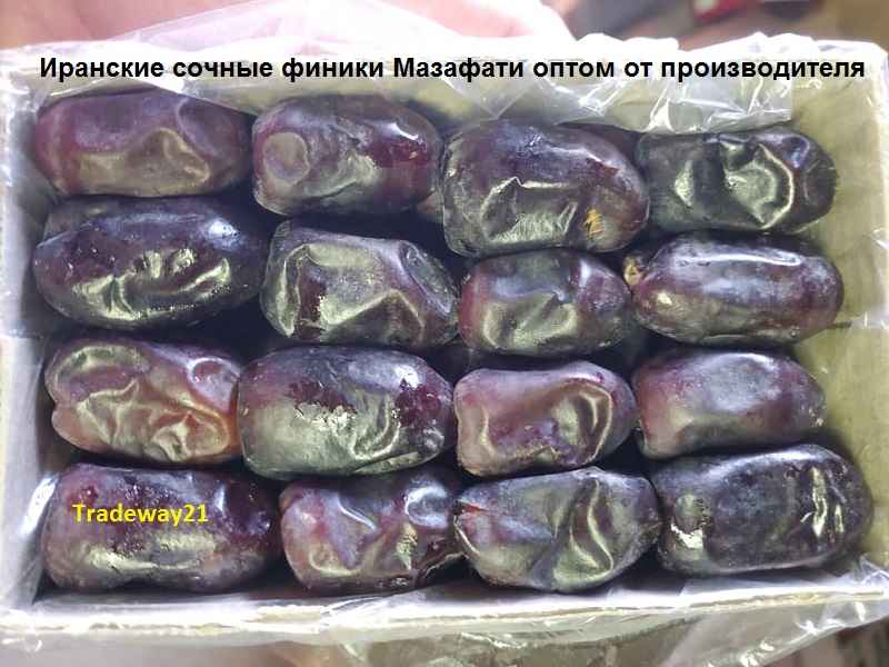 Иранские финики оптом Мазафати цена за кг