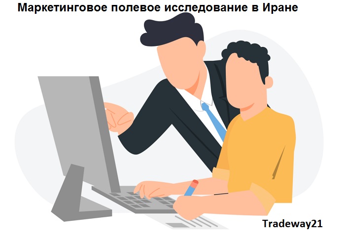 Маркетинговое полевое исследование в Иране 2026
