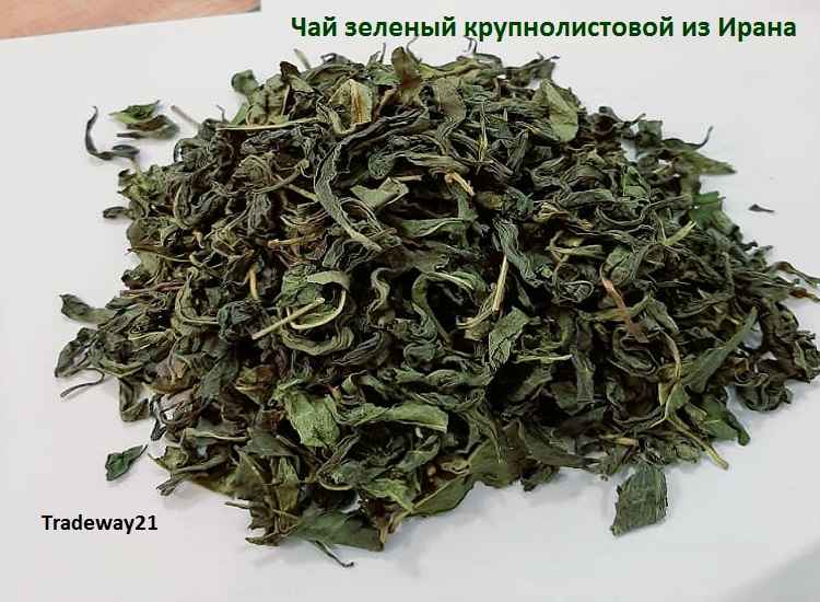 Купить Чай Зеленый Крупнолистовой из Ирана