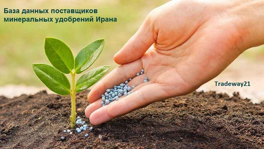 База данных поставщиков минеральных удобрений Ирана